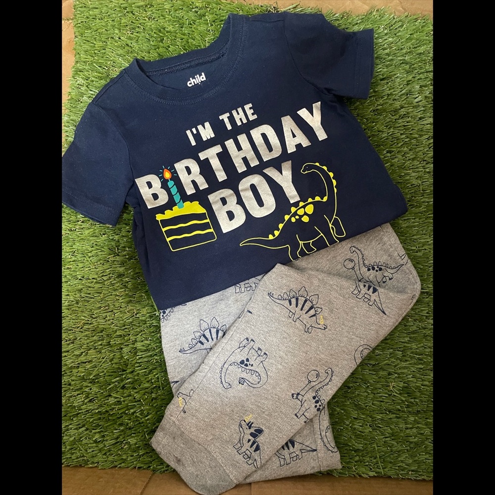 Set for dinosaur birthday - 2T (Used) - Picture 2 of 3
